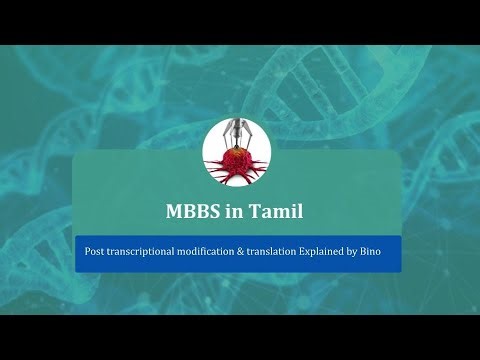 MET28 - Post transcriptional modification & translation on mRNA Explained in Tamil by Bino