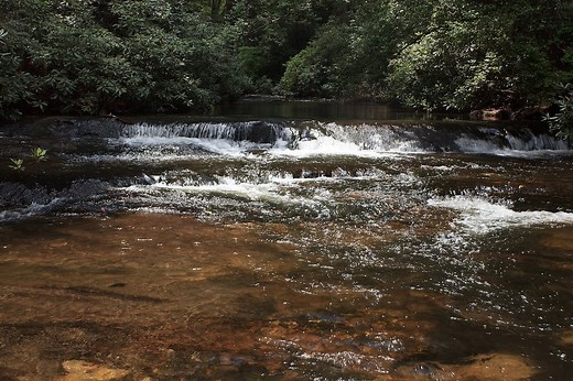 DIY Guide to Fly Fishing Noontootla Creek in Georgia | DIY Fly Fishing