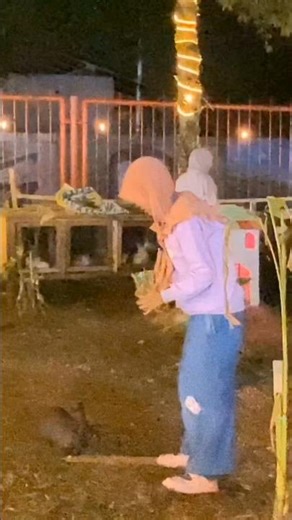 Feeding Cute Rabbits at Tarakan Expo Hibot 2026 (Part5) #rabbits #zoo #shorts