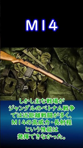 【実銃解説】 M14 30秒解説1