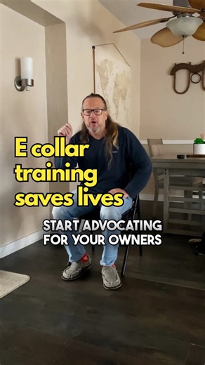 E collars are life saving tools. The only people who hate them are those who don’t understand them | Solid K9 Training