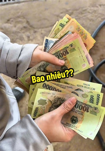 Đoán giá tiền dầu xe tải Howo