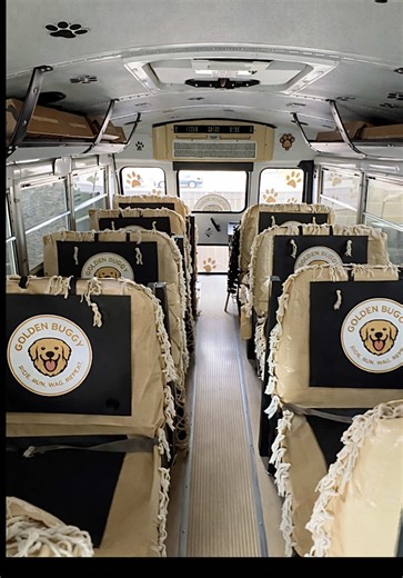 Maintaining a Clean and Safe Dog Bus