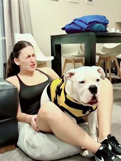 #fyp #yoga #pet #girl #cutedog