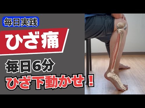 【毎日実践】膝の痛みを治すストレッチ6種目｜膝から下を鍛える・説明なし