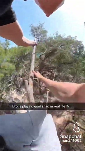 POV you're Tarzan in real life #shorts