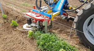 1.5K views · 1.6K reactions | Arrizza Porta attrezzi modello Expo Singolo R top con tastatore sensibilizzato per Barbatelle  | Arrizza Srl | Facebook