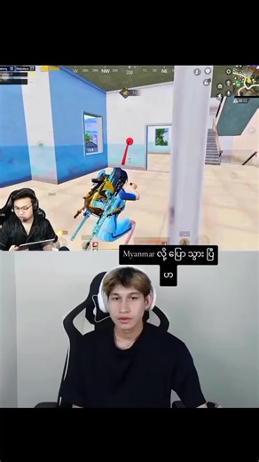 Flash Dragon Gaming Insights