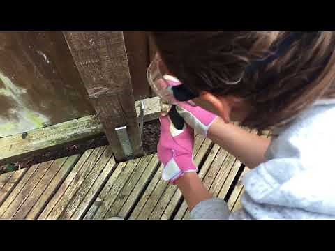Easy Fence Post Repair - How to do it