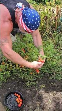 Prostate health, Heart health, lower blood sugar naturally - Anti cancer, anti aging with Lycopene