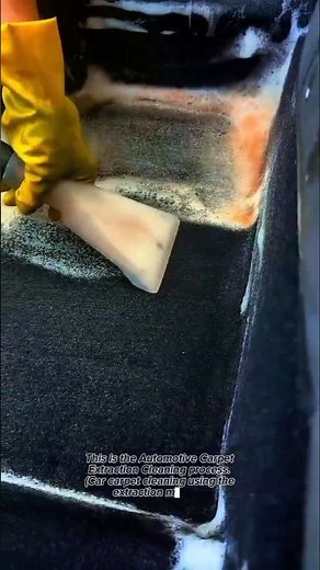 Deep Carpet Extraction