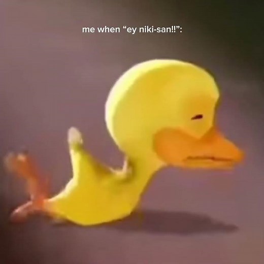 duck crying meme ⭐️