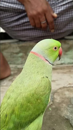 Dasi Na Mere Bare (Full Video) | Goldy | Latest Punjabi Song 2016 | Speed Records