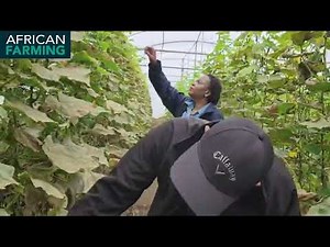 Korema Farms hosts Tshwane Fresh Produce Market for a farm tour