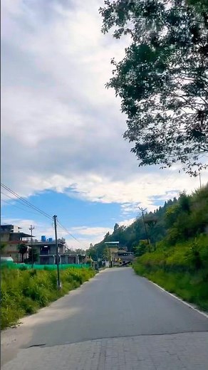 Magical North Bengal | Road Trip Through Green Forests & Open Sky | Lava Lolegaon Rishop