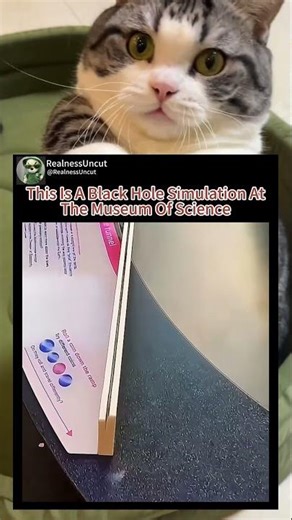 This Is A Black Hole Simulation At The Museum Of Science