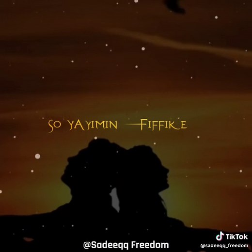 Sadeeqq<>Freedom on TikTok