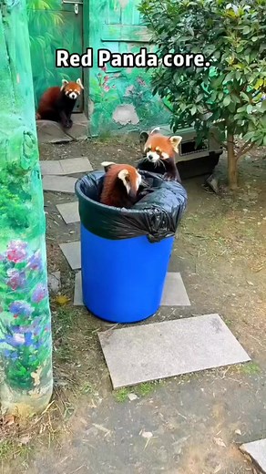 Bogdan Adrian Marin on Reels