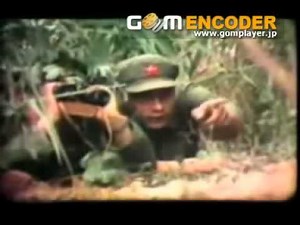 人民解放軍の戦争