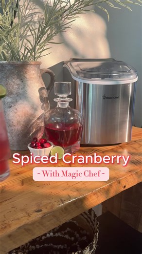 Stainless Steel Ice Maker for Thanksgiving Celebrations