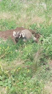 Niobrara National Scenic River on Reels