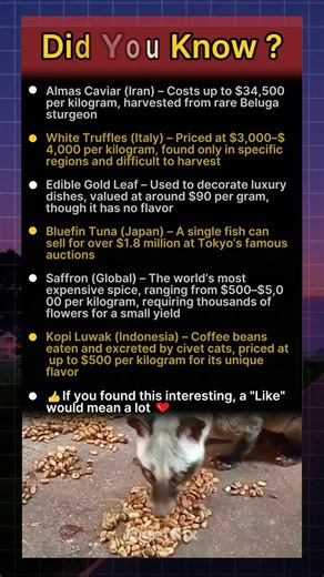 6 Most Expensive Foods in the World