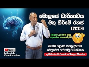මොළයේ ධාරිතාව වැඩි කිරීමේ රහස් (part 2 ) | Dr.Chaminda Weerasiriwardane