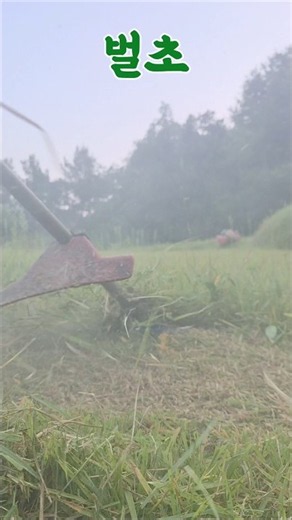 벌초 안전하고 쉽게 잘하는 방법과 벌초때 가져가면 좋은 음식[오늘나의시선- 예초기 산소 벌초]