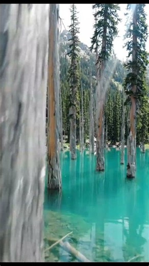 🌲 Lake Kaindy, Kazakhstan 🇰🇿 | The Sunken Forest Rising From Turquoise Water! 😲 #Shorts