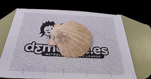 Experience the third dimension using Scanamaze. Download the free 3D scanning app Scanamaze now and start scanning today. Website: https://www.scanamaze.com Available on Android: https://tinyurl.com/2rvbc4kb Available on iOS: https://tinyurl.com/sejzp37d #3D #3Dscan #3Dmodel #app #iPad #iOS #iOSapp #appstore #photogrammetry #3dscanner #3Dscanning #3dmodeling #blender #3Dasset #3Dassets #3Dediting #3Deditor #3Dart #3dcreation #sketchfab #3Dprinting | Scanamaze