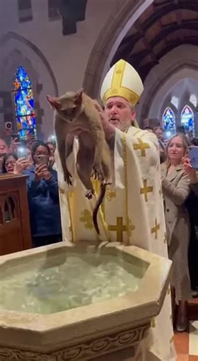 This animal baptism was a full immersion experience for everyone. Looks like the holy water found its way to every attendee. 500M views in 30 days. 📈 I didn't just get lucky - I used a specific strategy that most creators ignore. Check out Bunny Honey Club AI🤫