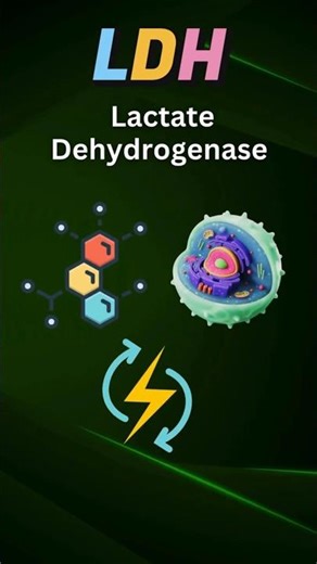 LDH Test Kya Hai | Heart Attack | Cancer Marker