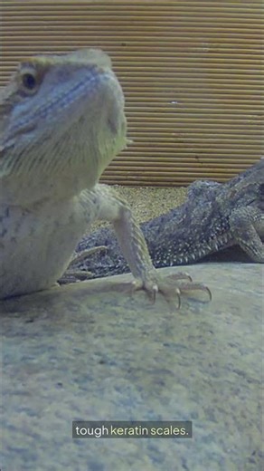 InsaneFacts | Daily Shocking and Unbelievable Facts 🤯🌍 #InsaneFacts #DidYouKnow #InterestingFacts