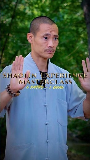 ✅ Life-changing insights and teachings from 6 experienced teachers from the Shaolin Temple Europe