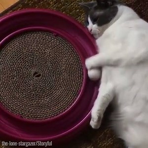 6.6M views · 61K shares | Just sat here waiting for payday like.. | UNILAD | Facebook