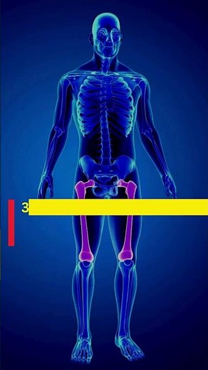 Health Benefits of Ghee - Wellness Pathway