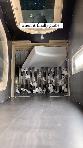 47K views · 37 reactions | Shredding is, without a doubt, one of the...