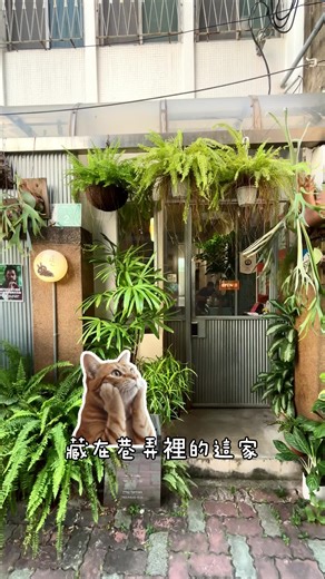 一天一部美食分享 直到我接到業配ep.9 合作歡迎點主頁連結私訊Instagram小盒子 食旅隨行Instagram：foodie_travel_tainan #台南最美老宅民宿 #逗之aptDouZ 位於台南中西區永福路像弄深處 雖然有些隱密 但沿路都有方向指引✨ 由老宅改建而成 保留許多老屋元素 店內空間溫馨舒適 座位並不多 若要前往建議網路或電話預訂🙌 // ෆ‪ 摩洛哥塔吉牛肋燉菜🐷 溫潤薑黃飯搭配軟嫩燉肉 是外頭較少見的口味 非常好吃😋 推薦給愛吃異國料理的朋友🫶 ෆ‪ 經典脆糖吐司拼盤（肉桂口味）🍞 很精緻份量很大 多樣食材營養均衡 一盤就能吃到各種營養非常值得 重點是每個調味不會互相搶味🥰 肉桂搭配的恰如其分 連不敢吃肉桂的朋友也讚不絕口😋 ෆ‪ 鹹蛋黃巴斯克🍰 是我少數吃到真心愛的巴斯克 雖然有肉鬆有點違和 別害怕！吃下口就會迎來衝突的美味 會為了鹹蛋黃巴斯克再訪💞💞 飲品部分也都有水準之上 整體來說食物好吃、飲品好喝👍 以份量及環境來說 價錢真的很佛心 推薦給早午餐荒的朋友們💕 // 店家IG： @apt.douz 📍地址：台南市中西區永福路