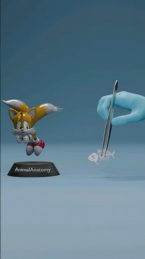 Fish Skeleton vs Whale Skeleton 😯