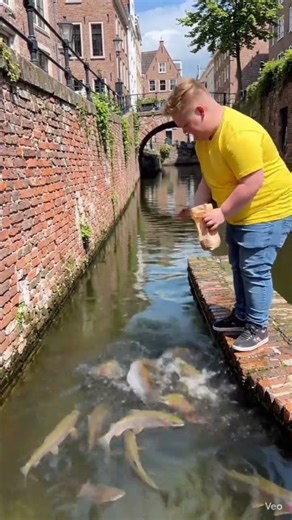 Breakfast Time, Love Feeding You #Shorts Like & Subscribe LSL Spreading Love 😍 #nature