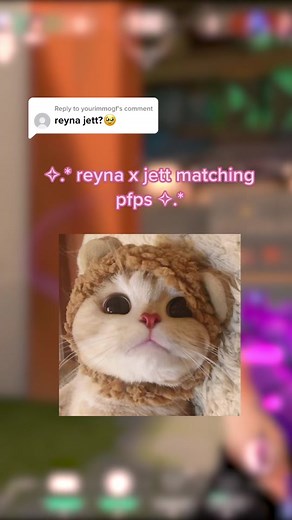 Reyna and Jett Matching Profile Pictures for Valorant