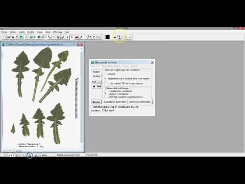 Mesurim mesure surface