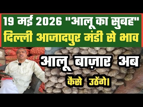 आलू बाज़ार क्या अब उठेंगे, Azadpur Delhi Mandi Today में 19-05-2026 के Potato Price DMT TV