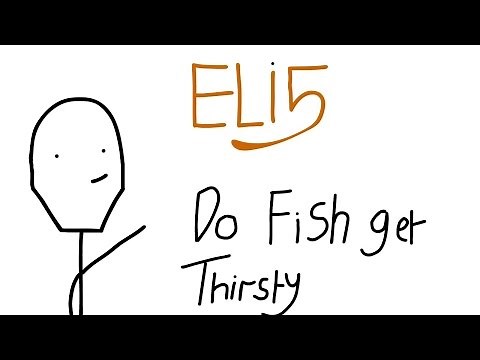 Do Fish Get Thirsty? - ELI5