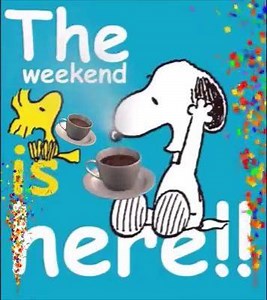 Whoo hoo | Gifs, Vids & Music Etc