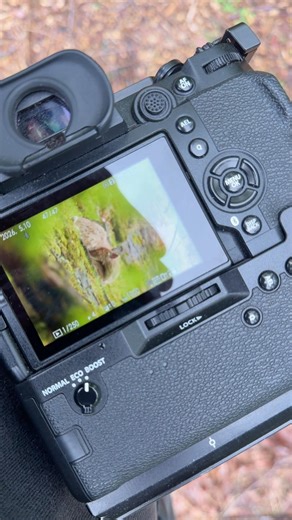 Fujifilm X-H2s vs Sleeping Deer