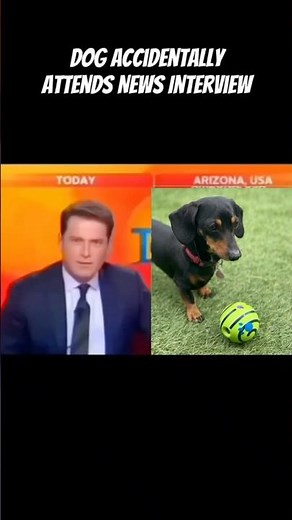 ACCIDENTALLY ATTENDS NEWS INTERVIEW