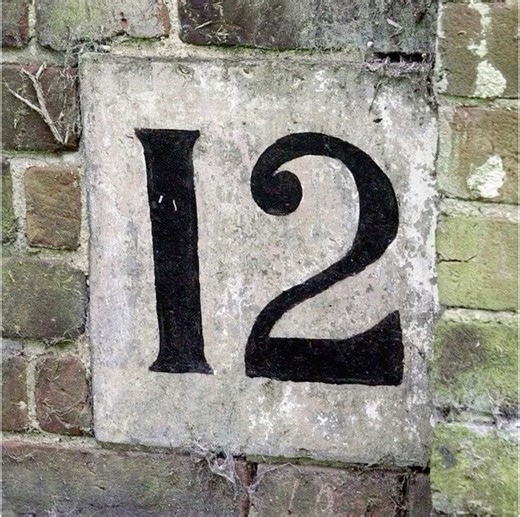 Famous District 12 Secrets Revealed!