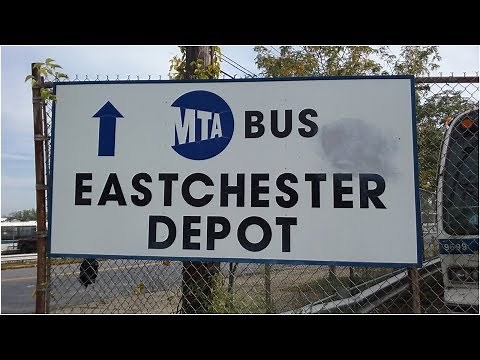 [MTA Bus Company]: Taking a Look At The Retired Fleet at Eastchester Depot (9-21-2017)