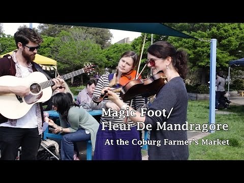 Fiddle tunes from Quebec: Magic Foot/Fleur de Mandragore
